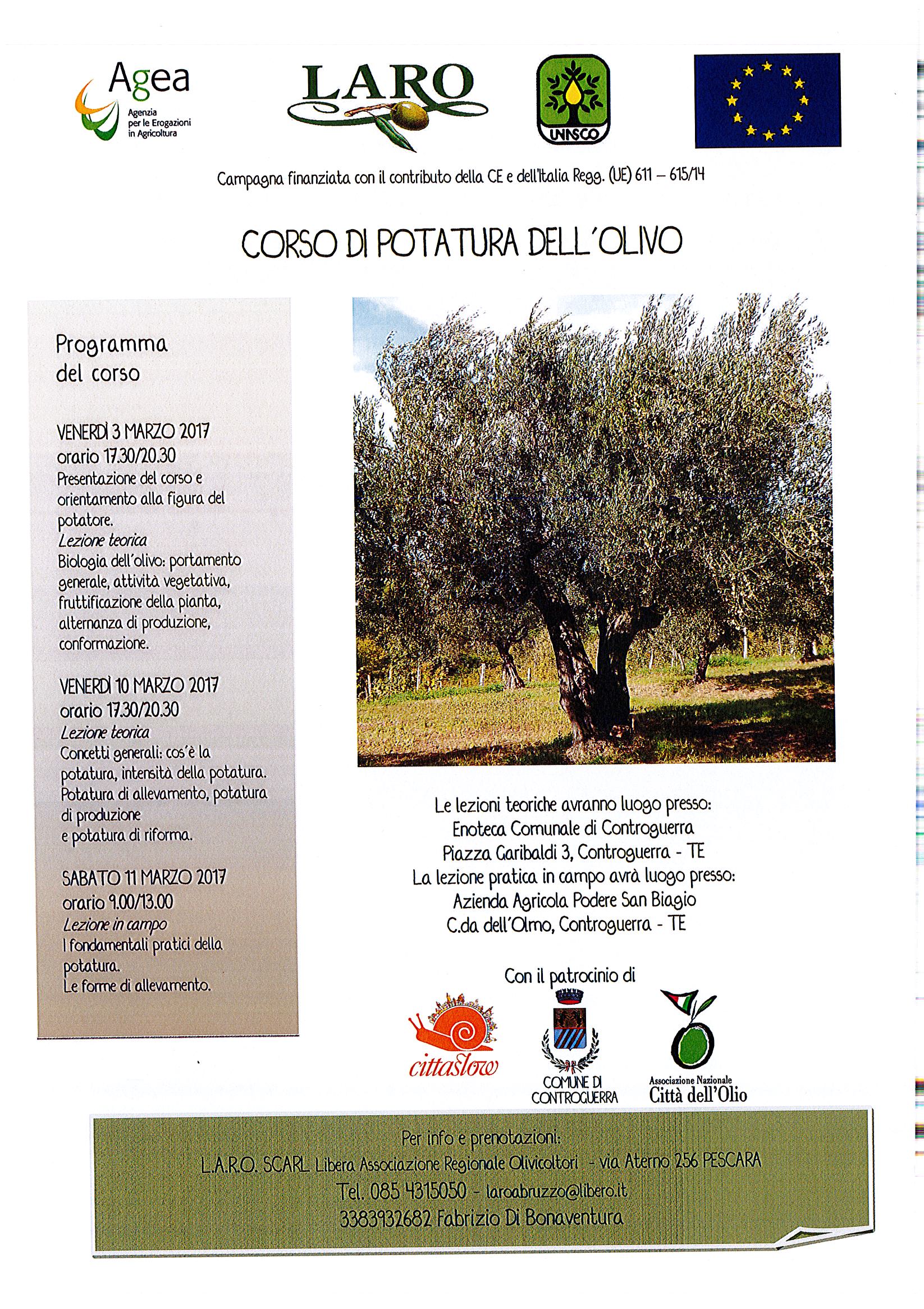 CORSO DI POTATURA DELL'OLIVO Cittaslow International