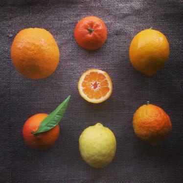 Navel Oranges - $2.00 per pound Clementines and Lemons - $3.00 per pound