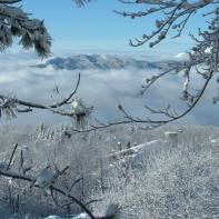 Cutigliano., paesaggio invernale